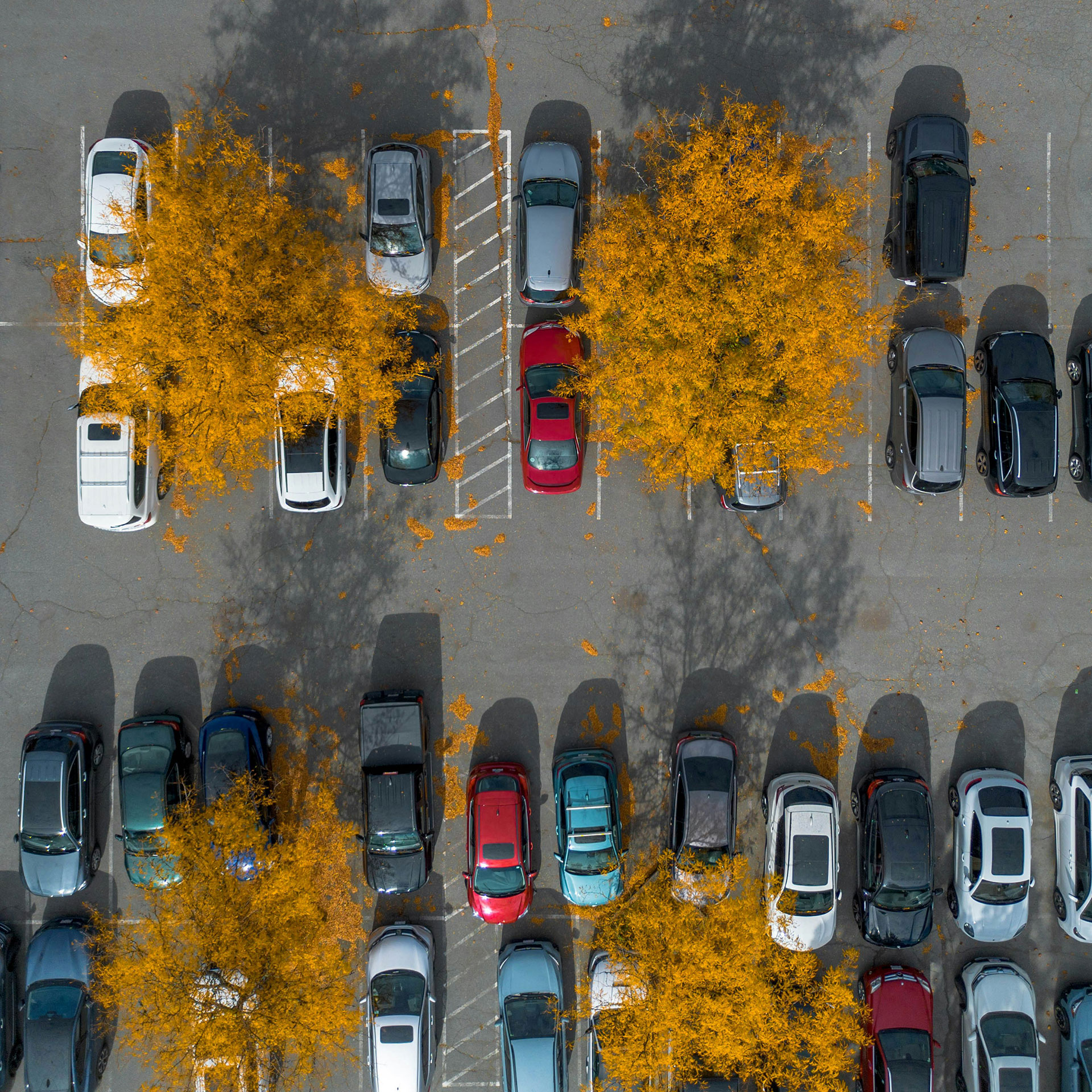 naslovnica_parking2